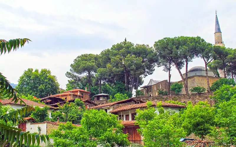 Birgi, Ödemiş'in, tarihi köyler